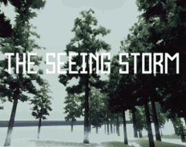 The Seeing Storm Image