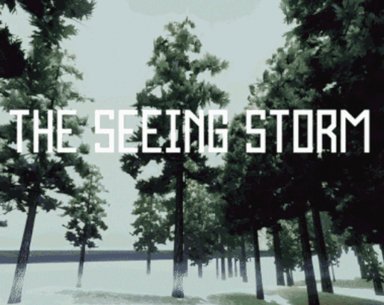 The Seeing Storm Game Cover