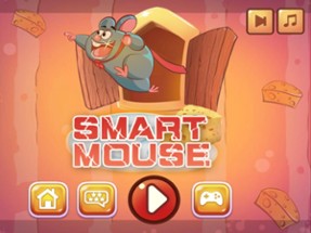 Smart Mouse Puzzle Image