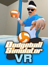 Dodgeball Simulator VR Image