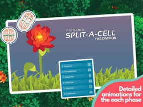 Split-A-Cell Image