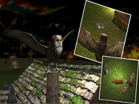 Wild Owl Flying Simulator 3D Image
