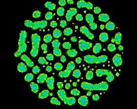 Primordial Particle System Image