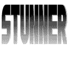 STUNNER Image