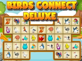 Birds Connect Deluxe Image