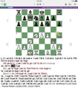 Bobby Fischer. Chess Champion Image
