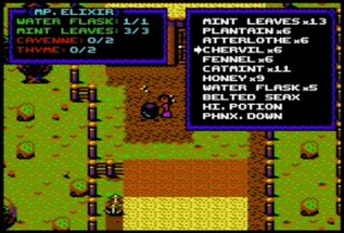 Briley Witch Chronicles 2 (C64) Image