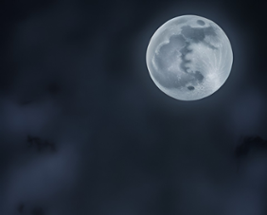 Pale Luna (ORIGINAL FINALLY FOUND) Image