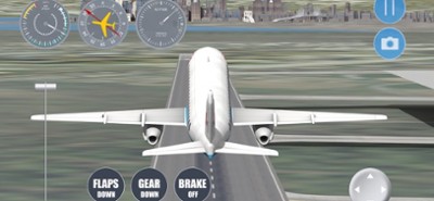 New York Flight Simulator Image