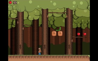 Grizzly Retro Platformer Image