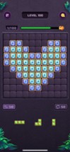 Block Puzzle - Fun Brain Games Image