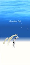 Garden Eel Image