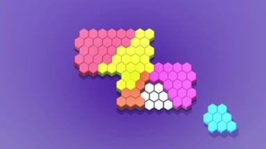 Hexagon Puzzle Blocks Image