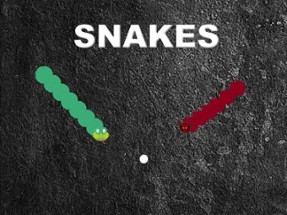 Snakes Image