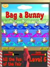 Bag a Bunny Image