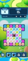 Pigs Puzzle Match Image