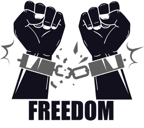 Freedom Game Cover