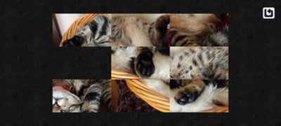 Cazzle - Sleeping Cat Puzzles Image