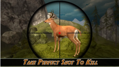 Deer Hunter Sniper Shooting Image