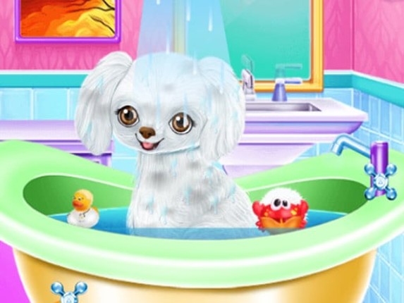 My New Poodle Friend Game Cover