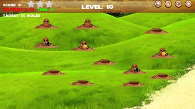 Whack Crazy Mole Image