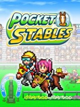 Pocket Stables Image