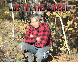 Lost In The Boreal Image