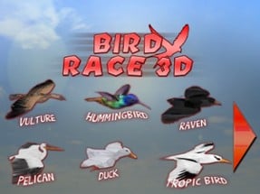 Bird Race 3D Image