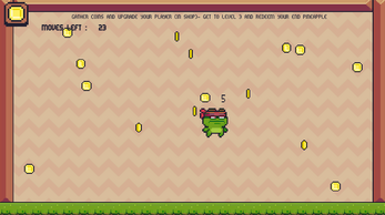 project8_froggo_vault Image