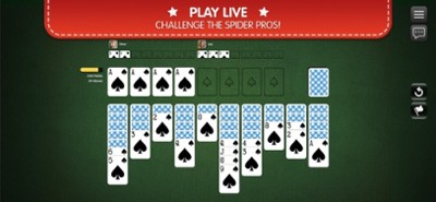 Spider Solitaire Palace Image