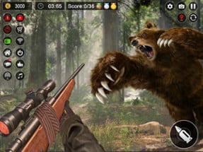 Wild Deer Hunt Games Image