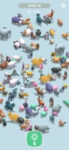 Animal Match 3D Fun Image