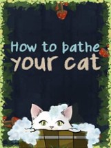 How To Bathe Your Cat Image