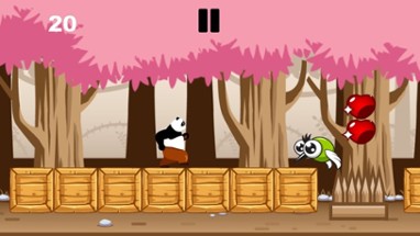 Panda Forest Run Image