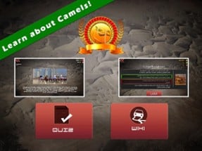 3D سباق الهجن - UAE Camel Racing Image