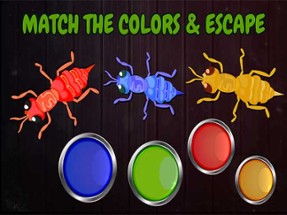 Ants: Tap Tap Color Ants Image
