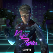 Neon Night Fighter Image