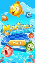 Marine Adventure -- Collect and Match 3 Fish Puzzle Game for TANGO Image