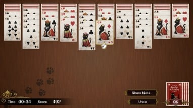 Spider Solitaire F Image