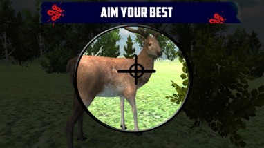 Deer Hunting Game : Best Deer Hunter in Jungle Sniper Game of 2016 Image