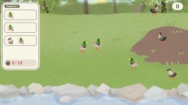 Duck Master Image