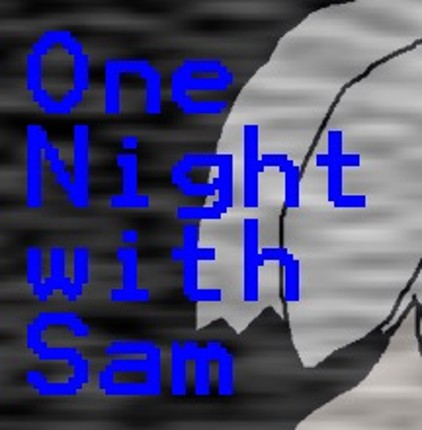 One Night with Sam Game Cover