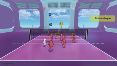 Volley Court Image