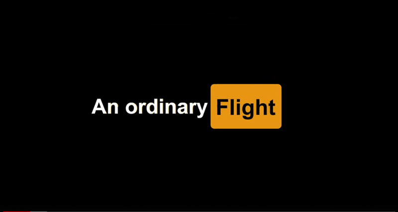 An Ordinary Flight Game Cover
