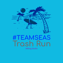 #TEAMSEAS Trash Run Image