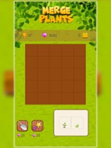 Merge Plants : Relaxing Game Image