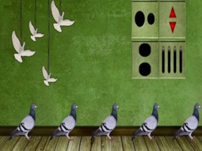 Pigeon Escape 2 Image