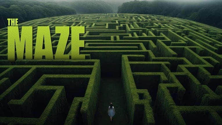 the maze Game Cover