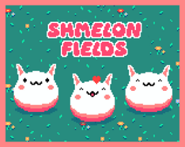 Shmelon Fields Image