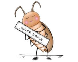 Ruler Roach Image